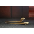 thumbnail image 5 of NECA Alien: Romulus- Accessory Set, 5 of 8