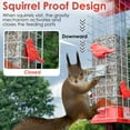 thumbnail image 3 of Birdkiss Squirrel-Proof Bird Feeder, Metal Mesh Bird Feeders for Outdoors Hanging, 3lbs Large Capacity Squirrel-Proof Wild Bird Feeders with Gravity Protection, 3 of 7