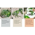 thumbnail image 4 of Qianfeng 22 Pcs Bulk Artificial Plant Succulents Faux Succulent Plants for Indoor Home Decor, 4 of 16