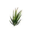 thumbnail image 1 of Cheers 1Pc Artificial Aloes Simulation Plants Bonsai Tabletop Hotel Home DIY Decoration, 1 of 7