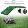 thumbnail image 3 of Plateforme de Pèlerinage, Échelle en Herbe Simulée Reposant sur Terrasse, Quai, Rampe avec Ventouse pour Petit Reptile, 3 of 7