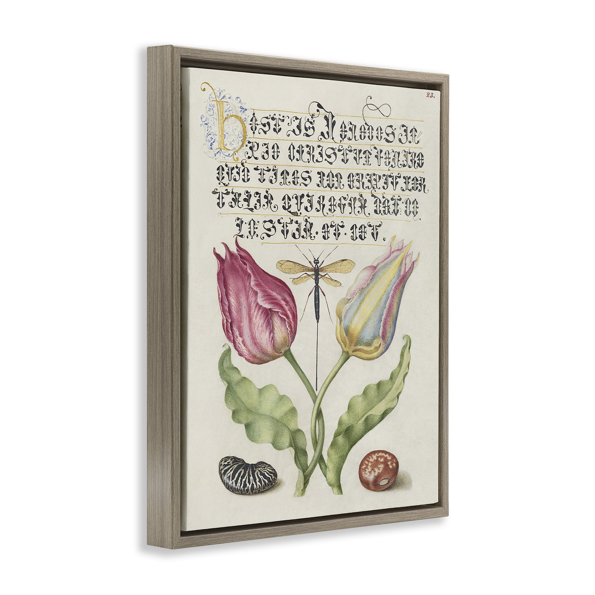 Stupell Industries Vintage Intertwined Flowers Text & Numbers Painting Brown Floater Framed Canvas Art Print Wall Art, 25 x 31