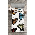 thumbnail image 3 of Ambesonne Colorful Quilted Bedspread Set 2 Pcs, Monarch Wings Abstract, Twin Size, Multicolor, 3 of 3