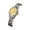C, variant on Women Watches Fashion Roman Numeral Analog Quartz Watch Waterproof Luminous Date Stainless Wristwatch