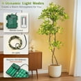 thumbnail image 2 of Studyset Artificial Plants Indoor, 5FT Fake Black Olive Tree with 50 LED Lights Tall Fake Plants in Plastic Nursery Pot Fake Tree Artificial Trees for Home Dr Office Living Room, 2 of 6