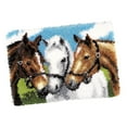 thumbnail image 4 of Horse Latch Hook Rug DIY Crafts Making Handmade Crocheting Needlework Mat Embroidered Material Home Decoration for Adults, Kids, 4 of 8