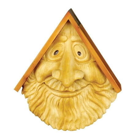 Red Carpet Studios Birdhouse Birdie In The Woods Old Man