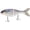 Threadfintastic, variant on Bucca Brand Trick Shad Swimbait Gizzard Magic