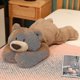 thumbnail image 1 of Almohada de fila de juguete de peluche de dinosaurio de ansiedad ponderada, muñeco de animales de peluche de dinosaurio lindo para niños y niñas, regalo, 1 of 1