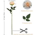 thumbnail image 2 of Zukuco 12 PCS Artificial Roses Single Long Stem Silk Blossom Fake Flower for Home Party Wedding Decoration(Light Champagne), 2 of 7