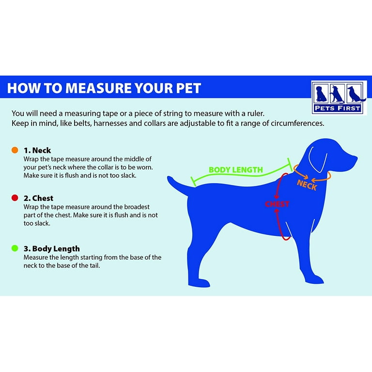 Dodger hotsell dog harness