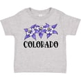 thumbnail image 3 of Inktastic Colorado Columbine Flowers Boys or Girls Toddler T-Shirt, 3 of 5