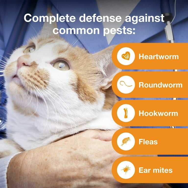 Advantix multi for cats 2025