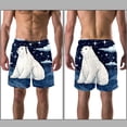 thumbnail image 3 of luoweisi Men's Beach Shorts Quick Dry Swim Trunks with Mesh Lining Galaxy Polar Bear S, 3 of 5