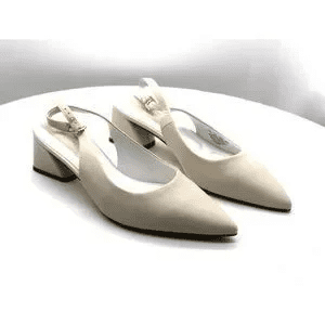 

Franco Sarto Racer Slingback Pointed Toe Pump