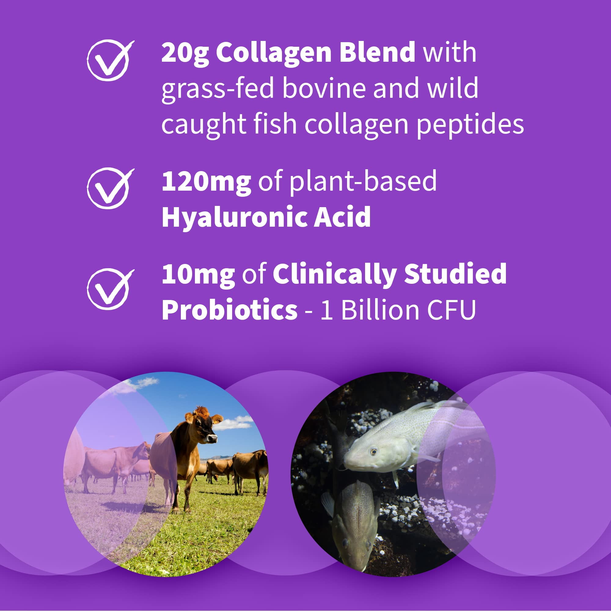 Garden of Life Wild Caught & Grass Fed Collagen Hyaluronic Acid, 12 Servings