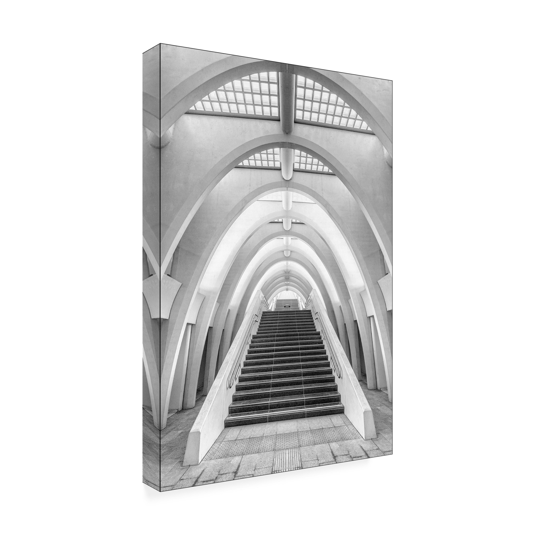 Trademark Fine Art Jef Van den Calatrava Lines Canvas Wall Art