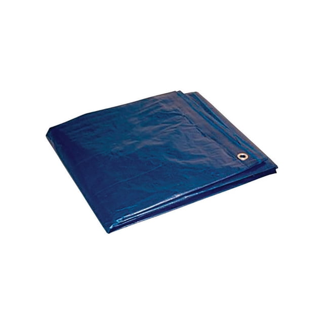 Tarp Foremost, polietileno ligero, 20 x 30 pies, azul