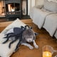 thumbnail image 5 of Disfraces de simulación para mascotas, disfraz de perro negro, divertido disfraz de Halloween para perros y gatos. XS, 5 of 7