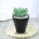 thumbnail image 3 of Matsuzay Bonsái Artificial paisaje interior simulación decorativa suculenta miniatura Mini plantas adornos de arreglo de escritorio Decoración Tipo3, 3 of 6