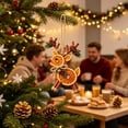 thumbnail image 5 of Dried Orange Slice Christmas Ornament Animal Shaped Natural Hanging Tree Decor Design G, 5 of 7