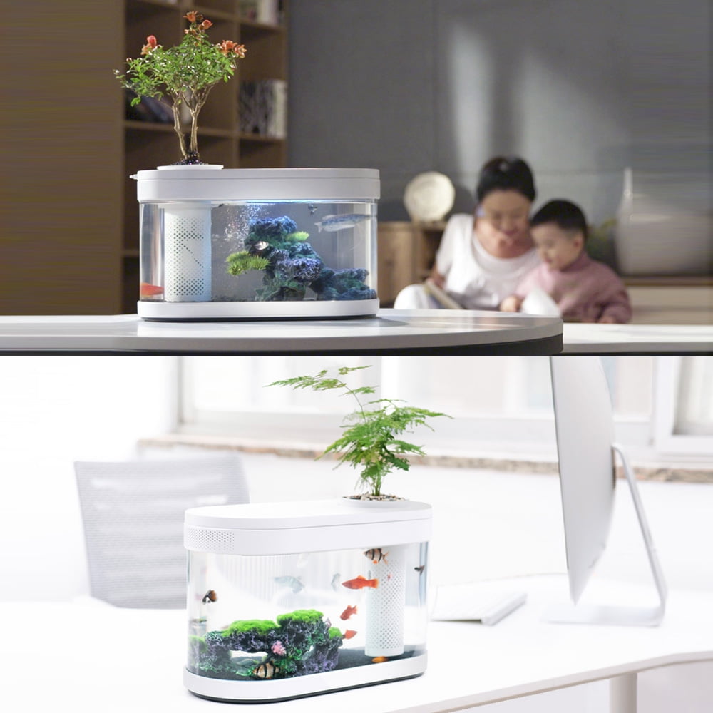 Desgeo Ecological Goldfish Tank Living Room Home Desktop Small Symbiosis System Flower Muzy Lazy Aquarium Led Colorful Fish Box With Oxygen Filter Pump Set Walmart Com Walmart Com