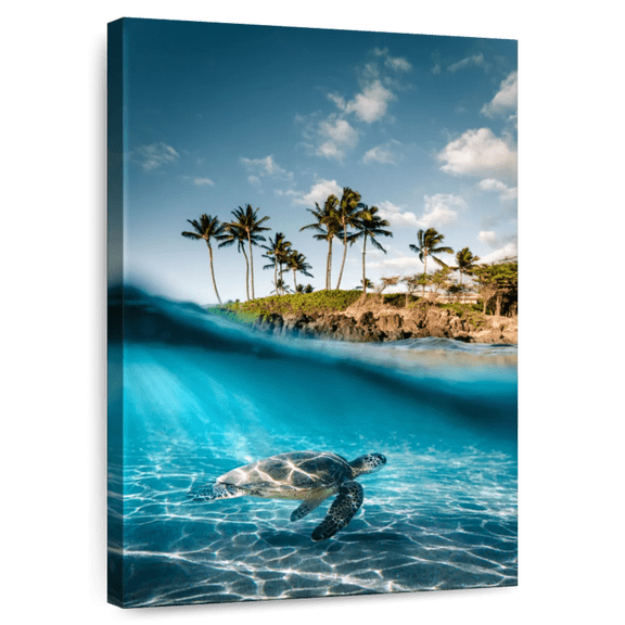 Elephant Stock Land And Sea Turtle Wall Art - Vertical Canvas Wall Art - Living Room Wall Decor - Animal Canvas - Teal And Orange Decor By Lucas Moore - 8" x 12"