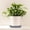 Grey, variant on 17" Round Saucer, Thickened Resin Flower Pot Tray, Durable Water Catching Base for Indoor Outdoor Potted Plants(Blue)
