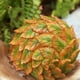 thumbnail image 4 of Nuevos adornos de caracol de hoja de jardín transfronterizo, artesanías creativas de animales pequeños para jardín de resina para el hogar europeo y americano, venta al por mayor, 4 of 5
