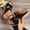 Black, variant on Women's Hollow Out Metal Buckle Wedge Sandals, Thick Sole Open Toe Comfort Casual Roman Style Summer Beach Slides Army Green 39
