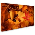 thumbnail image 2 of Trademark Fine Art "Lost & Found" Canvas Art by Philippe Sainte-Laudy, 2 of 3