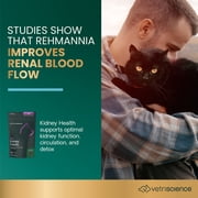 VetriScience Kidney Health Tablets for Cats, Chicken, 120 Count