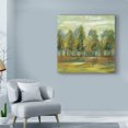 thumbnail image 3 of Trademark Fine Art 'Forest I' Canvas Art by Silvia Vassileva, 3 of 3