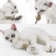 thumbnail image 1 of Juguete para gatos con forma de piruleta y hierba gatera de Xeyise, bocadillo para limpiar los dientes de los gatitos, palito Silvervine, 1 of 2