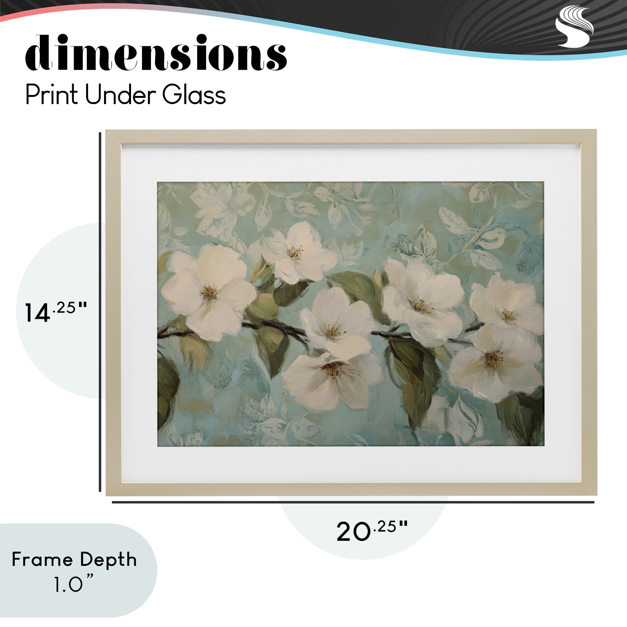Stupell Industries Serene Flower Branch Blooms Birch Framed Print Under Glass, design by Petal Prints Design