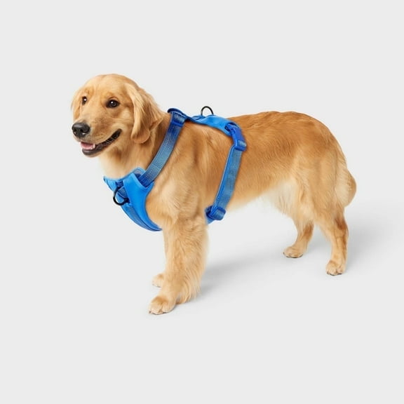 Puppy Dog Reflective Walking Harness, Blue, XL