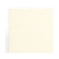 thumbnail image 3 of LUXPaper 8 1/2 x 11 Cardstock, 105 lb. Champagne Metallic, 1000/Pack, 3 of 4