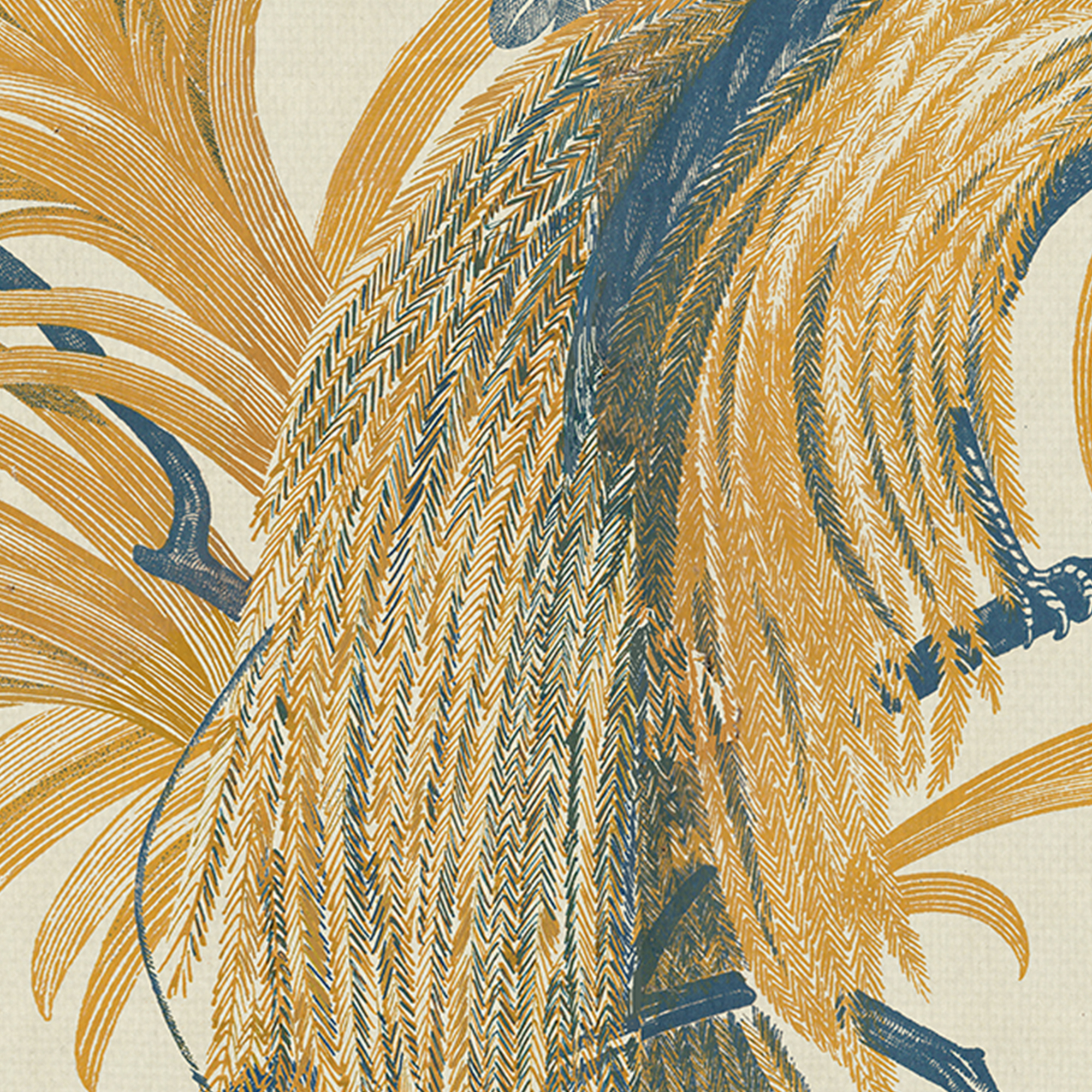 Feathered Fantasia, Fantasia’s Bird by The Vintage Collection Canvas Art Set of 2