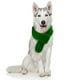 thumbnail image 1 of Bufandas para mascotas, ropa tejida para perros y gatos, bufandas para gatos, bufandas verdes para mascotas 2086, 1 of 6