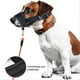 thumbnail image 1 of Mascarilla ajustable antimordedura para perro Collar para morder correa de nailon Wdftyju correa de entrenamiento para líder cinturón de líder antiladridos, 1 of 9