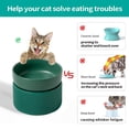 thumbnail image 4 of Elevated Cat Food Bowl Widen Raised Cat Food Dishes for Protecting Spine, Reliefing Whisker Fatiguegreen, 4 of 6