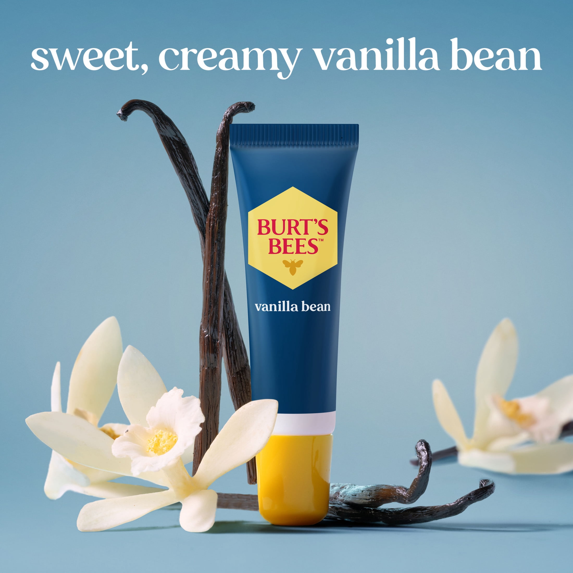 Burt's Bees 24-Hour Hydrating 100% Natural Origin Lip Balm, Vanilla Bean