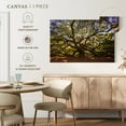 thumbnail image 5 of Elephant Stock Gnarled Angel Oak Wall Art - Horizontal Canvas Wall Art - Living Room Wall Decor - Floral And Botanical Canvas - Orange And Green Decor - 24" x 16", 5 of 8