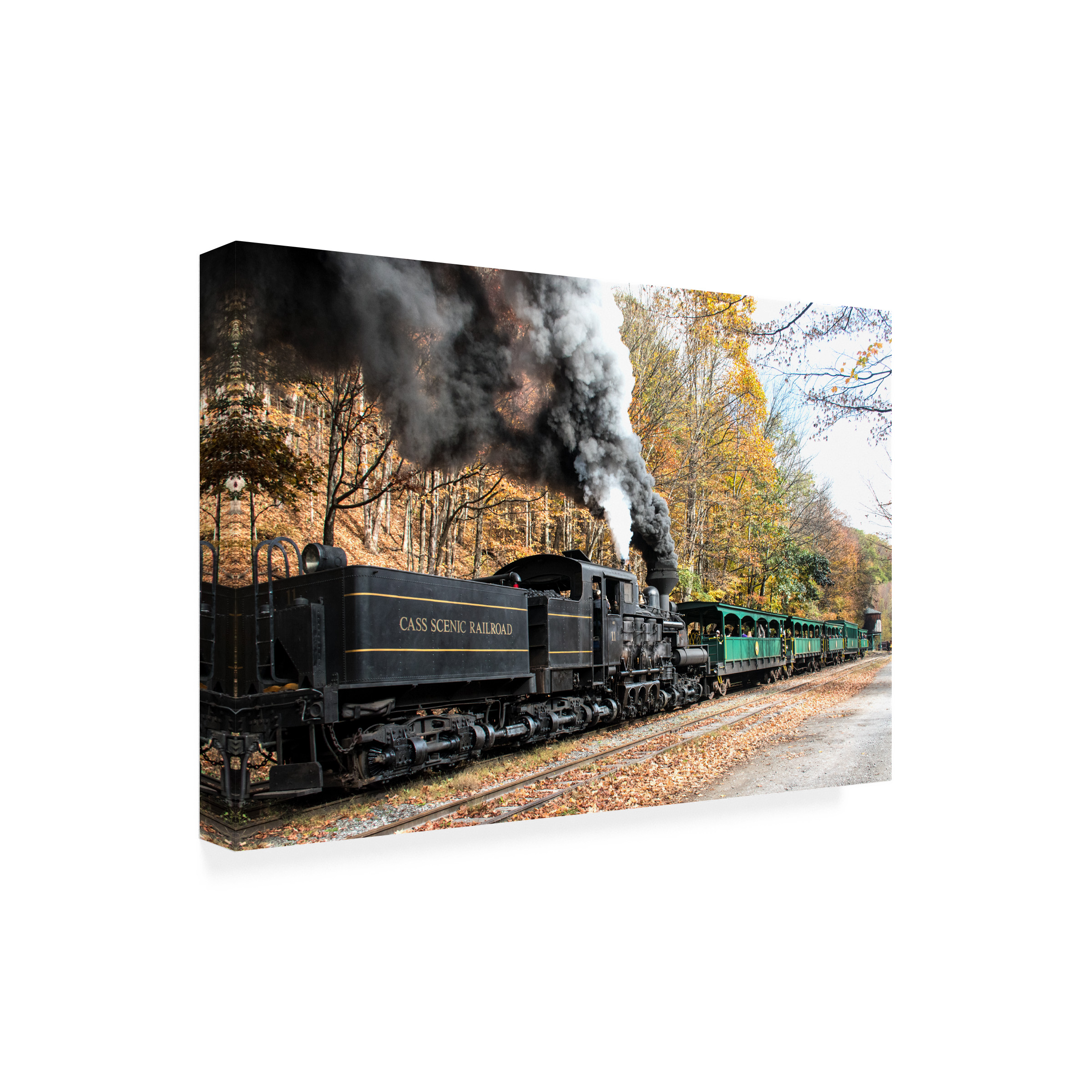 Robert Michaud 'Cass Scenic Railroad 2' Canvas Art