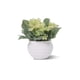 thumbnail image 1 of Pequeñas plantas de plástico artificiales Set Mini flores de imitación en maceta y hojas verdes UHUSE  plantas artificiales, 1 of 11