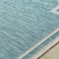 thumbnail image 4 of Livabliss Outdoor Rugs, 5x7 Miami Beach Traditional Aqua Area Rug for Patio, Porch, Deck, Backyard, Waterproof Indoor Outdoor Carpet (5'3" x 7'), 4 of 7