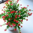 thumbnail image 4 of Zukuco Artificial Flowers Outdoor UV Resistant Fake Plastic Plants Outside Indoor Hanging Faux Greenery Shrubs Arrangement for Vase Porch Window Box Patio Wedding Home Decoration (Red), 4 of 5