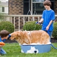 thumbnail image 5 of Zalmoxe Dog Pool Swimming Pool Plastic Kiddie Pool for Kids Dog Pet Pool for Small Medium Large Dogs Leakproof Collapsible Pool for Puppy Cats Kids(31.5",47.2",63"), 5 of 11