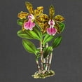 thumbnail image 2 of CafePress - Tropical Cattleya Orchid By Maternity Dark T Shirt - Maternity Dark T-Shirt, 2 of 3