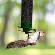 Droll Yankees Squirrel Proof Bird Feeders for Outdoors - YF-M - Flipper, Collapsible Perches, 5-Pound Seed Capacity, Green